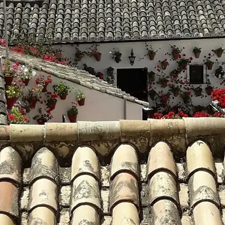 アパート Tejares Del Alcazar *