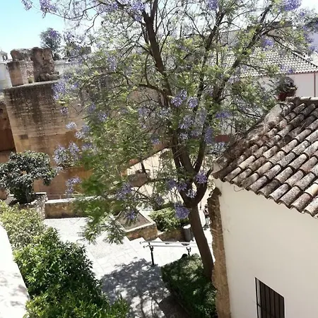 Tejares Del Alcazar アパート *