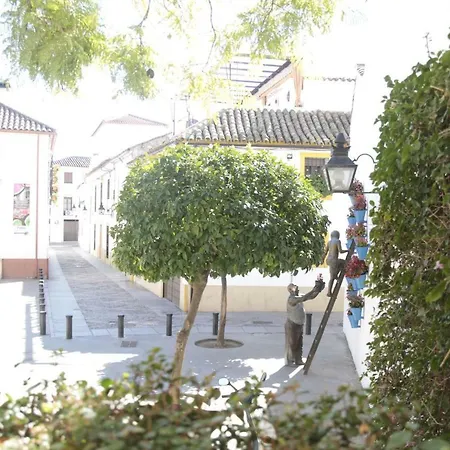 Tejares Del Alcazar Córdoba